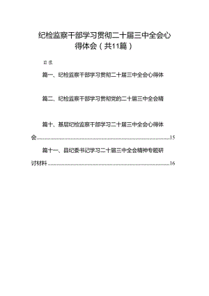 （11篇）纪检监察干部学习贯彻二十届三中全会心得体会（最新版）.docx