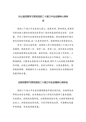 （9篇）办公室民警学习贯彻党的二十届三中全会精神心得体会范文.docx