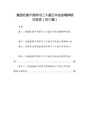 （11篇）集团纪委干部学习二十届三中全会精神研讨发言（精选）.docx