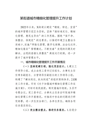 某街道城市精细化管理提升工作计划.docx