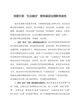 交流发言：党建引领“五治融合” 擦亮基层治理鲜亮底色.docx