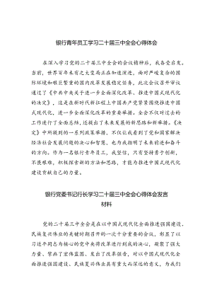 （9篇）银行青年员工学习二十届三中全会心得体会范文.docx