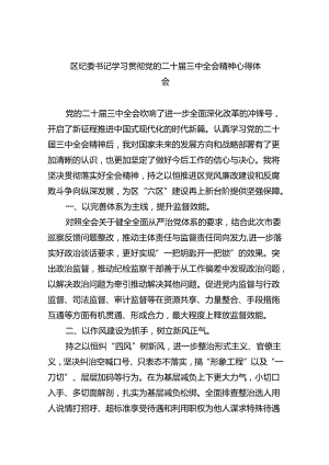 （9篇）区纪委书记学习贯彻党的二十届三中全会精神心得体会范文.docx