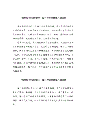 （9篇）民警学习贯彻党的二十届三中全会精神心得体会汇编.docx