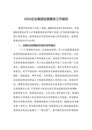 2024企业集团巡查整改工作报告.docx