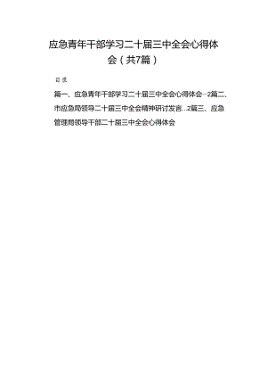 应急青年干部学习二十届三中全会心得体会7篇（详细版）.docx