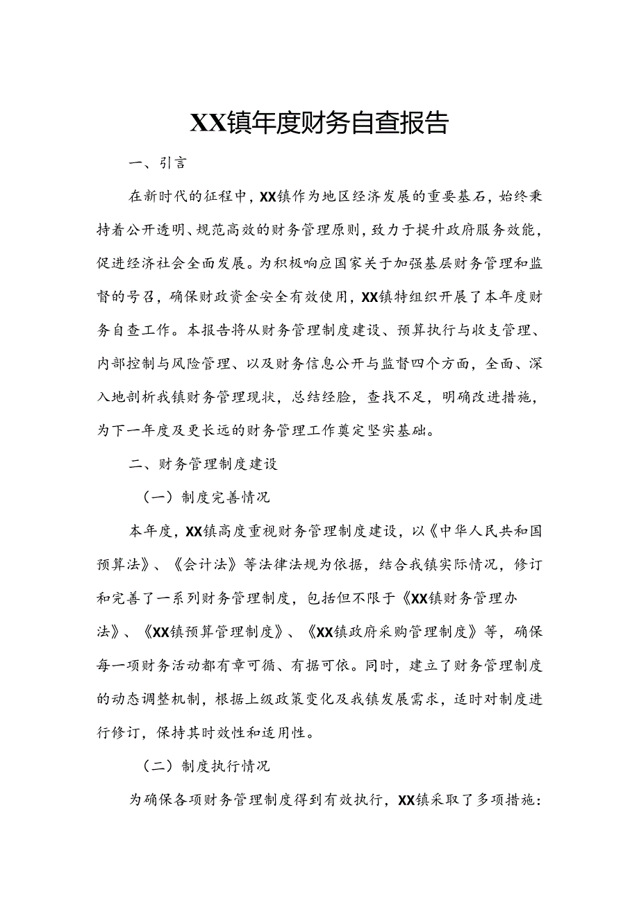 XX镇年度财务自查报告.docx_第1页