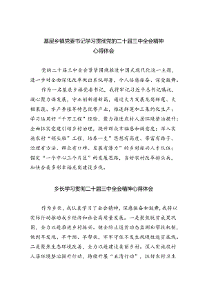 （9篇）基层乡镇党委书记学习贯彻党的二十届三中全会精神心得体会范文精选.docx