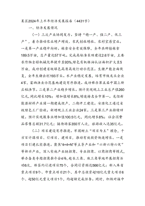 某区2024年上半年经济发展报告（4431字）.docx