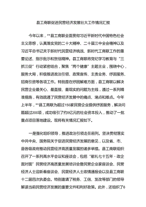 县工商联促进民营经济发展壮大工作情况汇报.docx