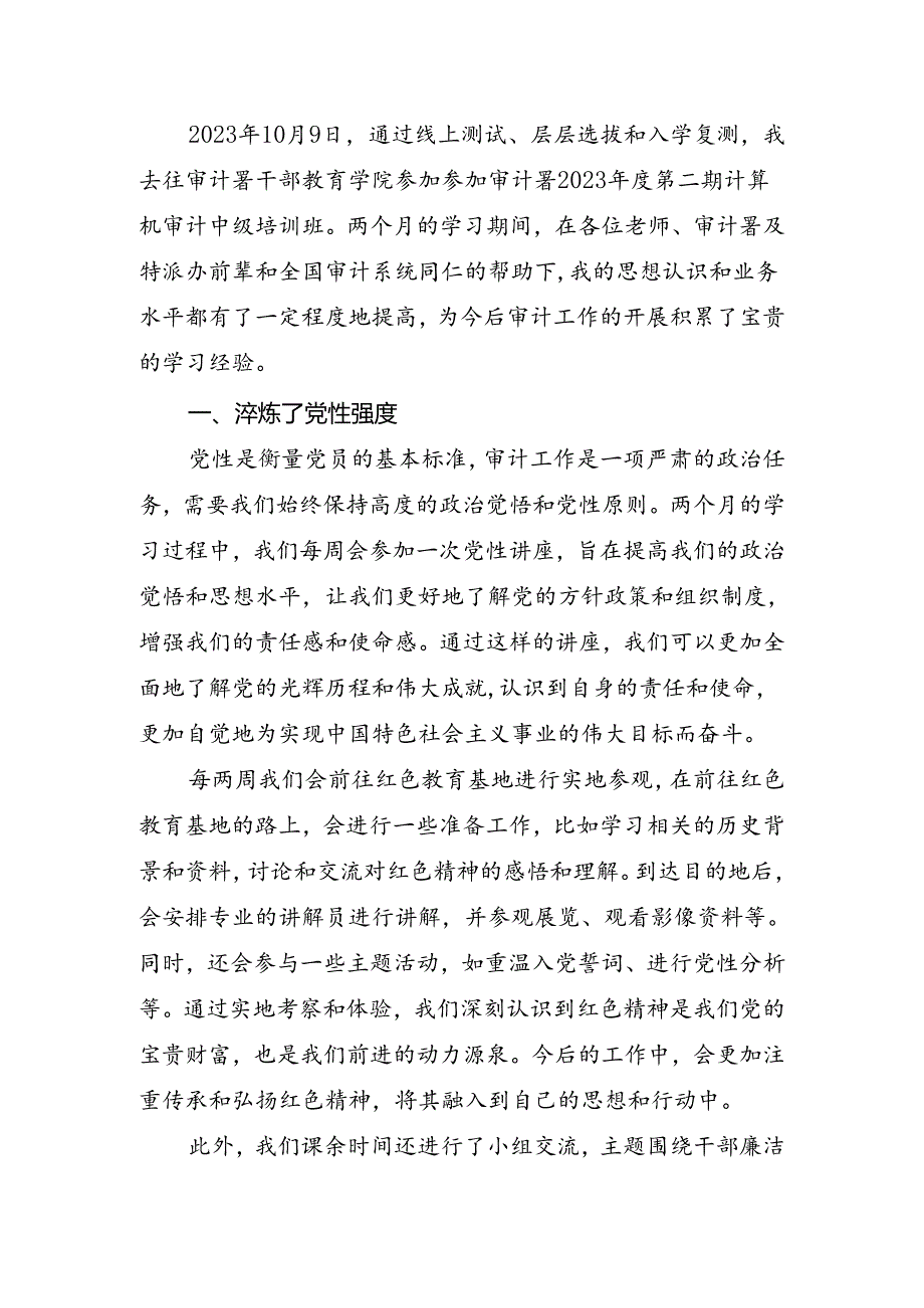 计算机审计中级培训总结.docx_第1页