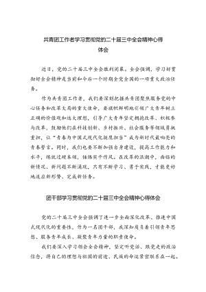 共青团工作者学习贯彻党的二十届三中全会精神心得体会8篇（精选版）.docx