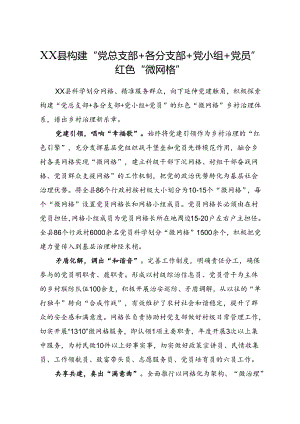 XX县构建“党总支部+各分支部+党小组+党员”红色“微网格”.docx