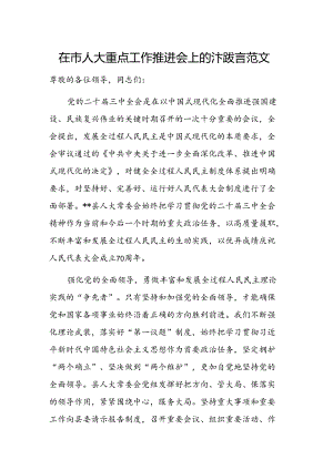 在市人大重点工作推进会上的汇报发言范文.docx