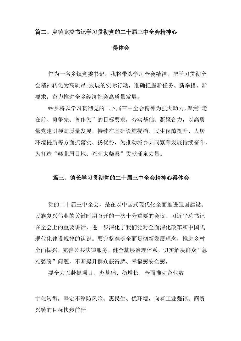 (八篇)基层乡镇长学习二十届三中全会精神研讨发言（精选）.docx_第2页