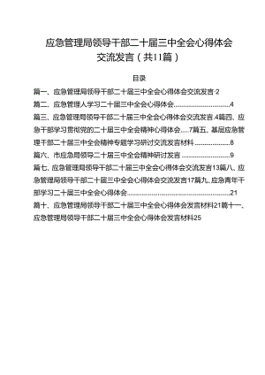 应急管理局领导干部二十届三中全会心得体会交流发言11篇（最新版）.docx