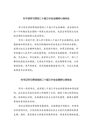 （9篇）村干部学习贯彻二十届三中全会精神心得体会范文.docx