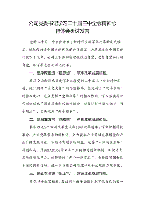 公司党委书记学习二十届三中全会精神心得体会研讨发言.docx