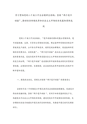 学习贯彻党的二十届三中全会精神宣讲稿：坚持“两个毫不动摇”.docx