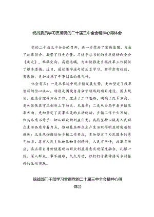 （9篇）统战委员学习贯彻党的二十届三中全会精神心得体会范文.docx