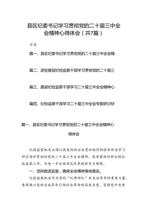 县区纪委书记学习贯彻党的二十届三中全会精神心得体会7篇（详细版）.docx