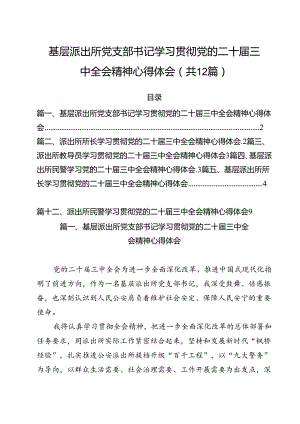 基层派出所党支部书记学习贯彻党的二十届三中全会精神心得体会12篇（最新版）.docx