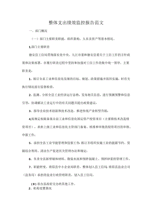 整体支出绩效监控报告范1.docx