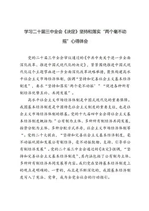 2024年学习二十届三中全会《决定》坚持和落实“两个毫不动摇”心得体会.docx