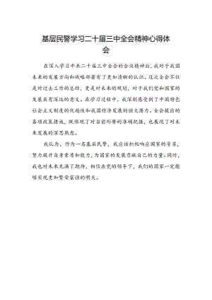 基层民警学习二十届三中全会精神心得体会范本.docx