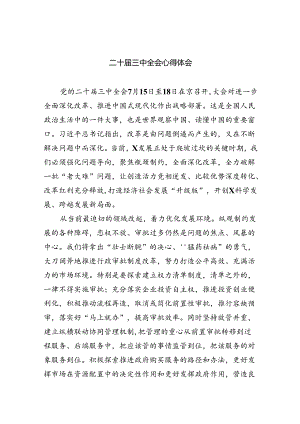 二十届三中全会心得体会7篇供参考.docx