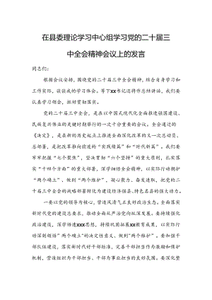 在县委理论学习中心组学习党的二十届三中全会精神会议上的发言.docx