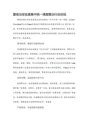 夏夜治安巡查集中统一清查整治行动总结..docx