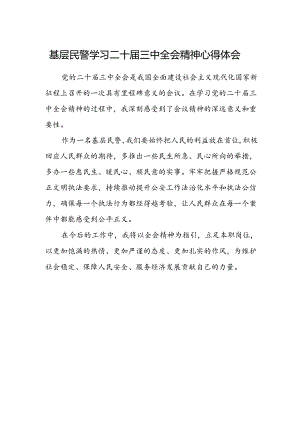 基层民警学习二十届三中全会精神心得体会.docx