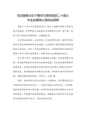 司法警察大队干警学习贯彻党的二十届三中全会精神心得体会感想.docx