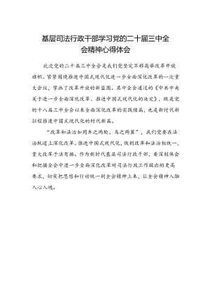 基层司法行政干部学习党的二十届三中全会精神心得体会.docx