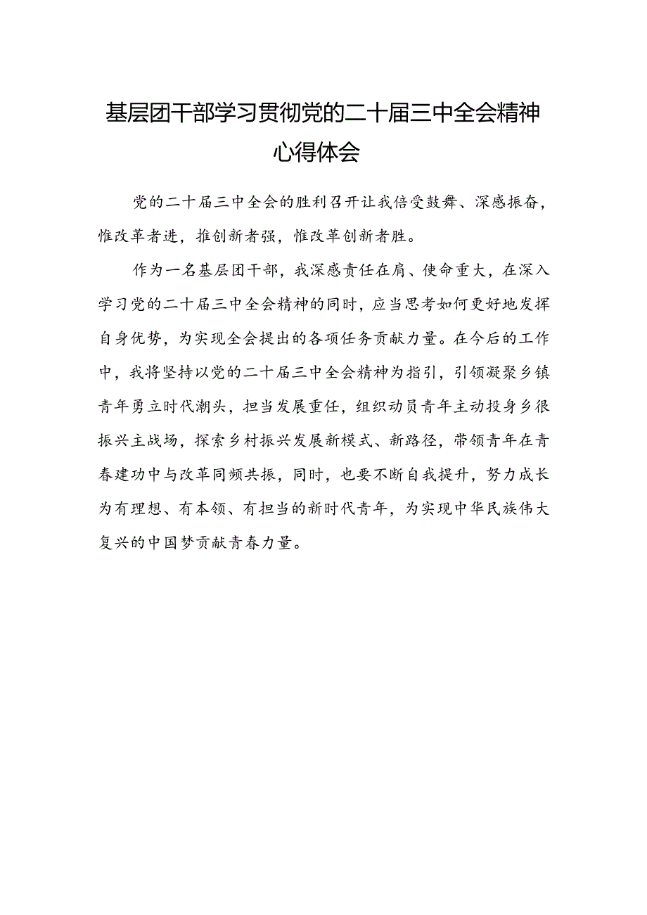 基层团干部学习贯彻党的二十届三中全会精神心得体会 .docx_第1页