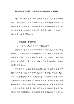 宣传部长学习贯彻二十届三中全会精神心得体会研讨发言材料.docx