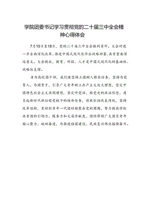 学院团委书记学习贯彻党的二十届三中全会精神心得体会.docx