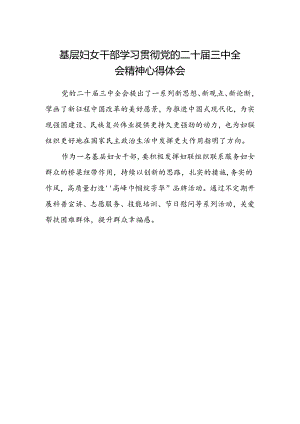 基层妇女干部学习贯彻党的二十届三中全会精神心得体会 .docx