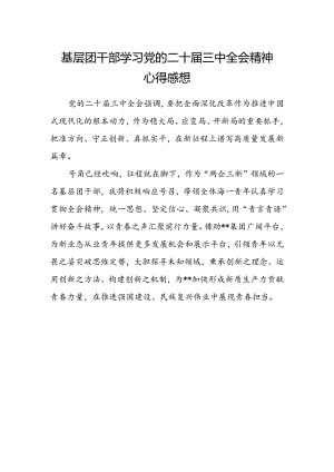 基层团干部学习党的二十届三中全会精神心得感想.docx