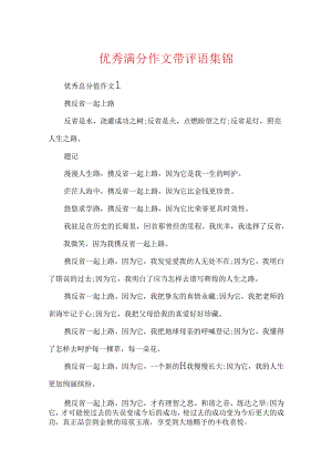 优秀满分作文带评语集锦.docx