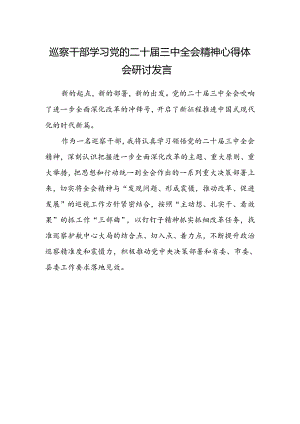 巡察干部学习党的二十届三中全会精神心得体会研讨发言.docx