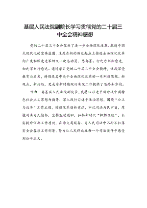 基层人民法院副院长学习贯彻党的二十届三中全会精神感想.docx