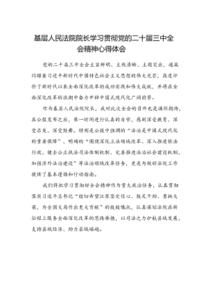 基层人民法院院长学习贯彻党的二十届三中全会精神心得体会.docx