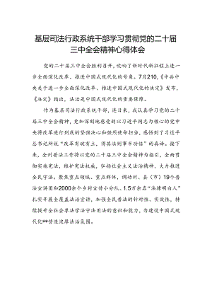 基层司法行政系统干部学习贯彻党的二十届三中全会精神心得体会.docx