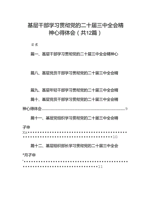 基层干部学习贯彻党的二十届三中全会精神心得体会12篇（详细版）.docx