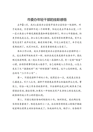 市委办年轻干部的挂职感悟.docx