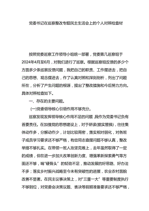 党委书记在巡察整改专题民主生活会上的个人对照检查材料.docx