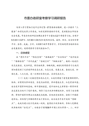 市委办政研室考察学习调研报告.docx