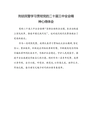 刑侦民警学习贯彻党的二十届三中全会精神心得体会.docx